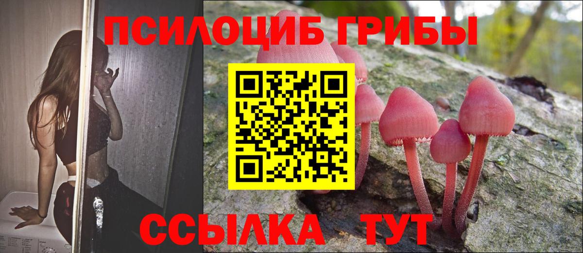 Псилоцибиновые грибы MAGIC MUSHROOMS Новочеркасск