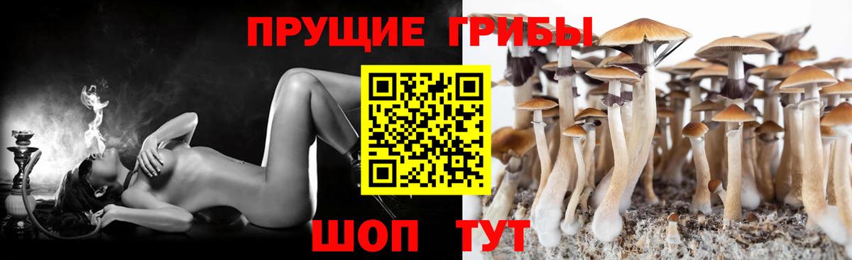 Псилоцибиновые грибы мухоморы  Вход с VPN  Галлюциногенные грибы мицелий  Новочеркасск 